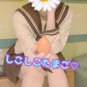 ヒメ日記 2026/02/02 23:45 投稿 あおい 肉体の門