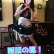 ヒメ日記 2026/02/03 15:01 投稿 あおい 肉体の門