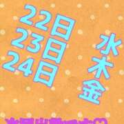 ヒメ日記 2026/04/20 23:45 投稿 あおい 肉体の門