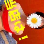 ヒメ日記 2026/04/29 01:30 投稿 あおい 肉体の門