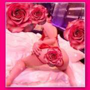 ヒメ日記 2024/12/23 19:01 投稿 きらり 痴女性欲は底なし沼♡ Parfaite Luna☆(パルフェットルナ)