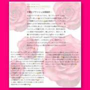 ヒメ日記 2024/12/29 21:43 投稿 きらり 痴女性欲は底なし沼♡ Parfaite Luna☆(パルフェットルナ)