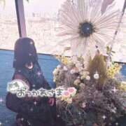 ヒメ日記 2025/05/24 09:53 投稿 さくら 大塚デリヘル倶楽部