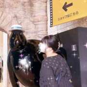 ヒメ日記 2025/07/08 16:21 投稿 さくら 大塚デリヘル倶楽部