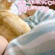 ヒメ日記 2025/11/12 12:03 投稿 さくら 大塚デリヘル倶楽部