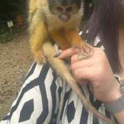 ヒメ日記 2025/12/11 16:32 投稿 さくら 大塚デリヘル倶楽部