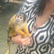 ヒメ日記 2025/12/12 12:22 投稿 さくら 大塚デリヘル倶楽部