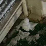 ヒメ日記 2026/02/10 15:12 投稿 さくら 大塚デリヘル倶楽部