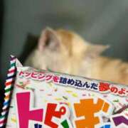 ヒメ日記 2026/04/08 00:42 投稿 さくら 大塚デリヘル倶楽部