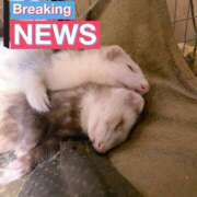 ヒメ日記 2025/09/09 19:30 投稿 糸(いと) 八王子人妻城