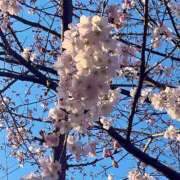 ヒメ日記 2026/03/22 14:27 投稿 糸(いと) 八王子人妻城