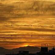 ヒメ日記 2025/06/22 17:39 投稿 はるな 所沢デリヘル桜