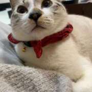 ♡マリン♡ ｽｷﾝﾍｯﾄﾞ ラブ♡エル