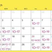 ヒメ日記 2025/02/20 15:48 投稿 要杏奈 プレジデントクラブ