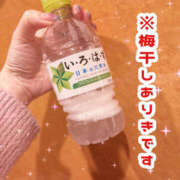 ヒメ日記 2024/12/25 10:44 投稿 はるか ゴールドハンズ