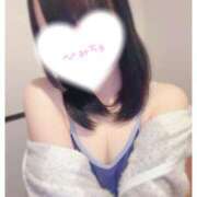 めい 本日も🐻 プールサイド