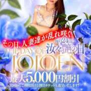 ヒメ日記 2025/04/24 10:58 投稿 姫野 かおり 汝々艶 梅田店