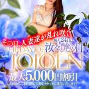 ヒメ日記 2025/06/24 11:02 投稿 姫野 かおり 汝々艶 梅田店