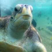 ヒメ日記 2025/08/16 13:41 投稿 姫野 かおり 汝々艶 梅田店