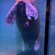 ヒメ日記 2025/08/17 12:05 投稿 姫野 かおり 汝々艶 梅田店