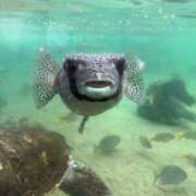 ヒメ日記 2025/08/29 13:25 投稿 姫野 かおり 汝々艶 梅田店