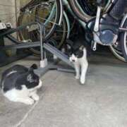 ヒメ日記 2025/09/01 14:15 投稿 姫野 かおり 汝々艶 梅田店