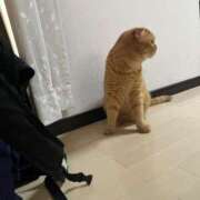 ヒメ日記 2025/09/03 12:35 投稿 姫野 かおり 汝々艶 梅田店