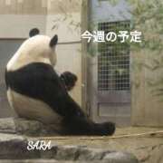 ヒメ日記 2025/11/11 23:40 投稿 水川　沙良 汝々艶 梅田店