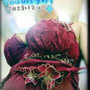 ヒメ日記 2025/12/25 16:34 投稿 水川　沙良 汝々艶 梅田店