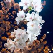 ヒメ日記 2025/04/09 22:36 投稿 まき奥様 デザイア日本橋