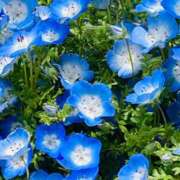 ヒメ日記 2025/04/19 18:48 投稿 まき奥様 デザイア日本橋