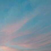 ヒメ日記 2025/01/31 01:04 投稿 れい VIVIDCREWマダムセカンドバージン 梅田店