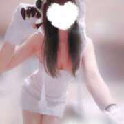 ヒメ日記 2025/09/20 08:08 投稿 れい VIVIDCREWマダムセカンドバージン 梅田店