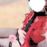 ヒメ日記 2026/01/17 17:47 投稿 れい VIVIDCREWマダムセカンドバージン 梅田店