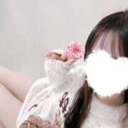 ヒメ日記 2026/02/02 07:48 投稿 れい VIVIDCREWマダムセカンドバージン 梅田店