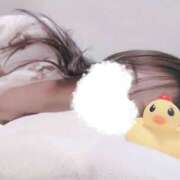 ヒメ日記 2026/02/05 19:42 投稿 れい VIVIDCREWマダムセカンドバージン 梅田店