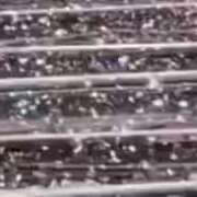 ヒメ日記 2026/02/08 11:13 投稿 れい VIVIDCREWマダムセカンドバージン 梅田店