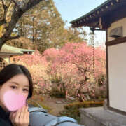 明香里 春爛漫💕 琥珀（こはく）