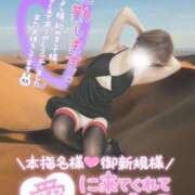 ヒメ日記 2024/12/22 00:31 投稿 まや 妻天 尼崎店