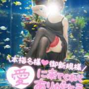 ヒメ日記 2024/12/28 01:40 投稿 まや 妻天 尼崎店