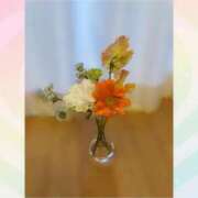 ヒメ日記 2026/02/20 05:12 投稿 燈(あかり) PLUS梅田店