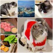 ヒメ日記 2024/12/27 17:56 投稿 さき 大阪回春性感エステティーク谷九店