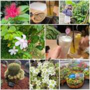 さき さき（エステティーク谷九店） 大阪回春性感エステティーク谷九店