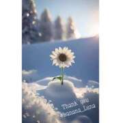 ヒメ日記 2025/01/17 09:29 投稿 るな 完熟ばなな西川口