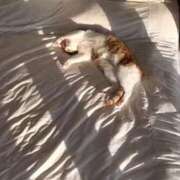 ヒメ日記 2025/02/05 09:24 投稿 るな 完熟ばなな西川口