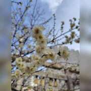 ヒメ日記 2025/02/21 15:31 投稿 るな 完熟ばなな西川口