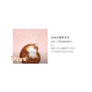 ヒメ日記 2025/03/08 09:32 投稿 るな 完熟ばなな西川口