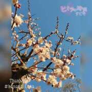 ヒメ日記 2025/03/10 08:57 投稿 るな 完熟ばなな西川口