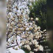 ヒメ日記 2025/03/20 09:35 投稿 るな 完熟ばなな西川口