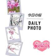 ヒメ日記 2025/03/28 17:49 投稿 るな 完熟ばなな西川口